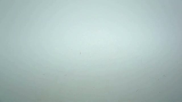 Мешок № 223026. Брюки женские Лето КРЕМ. Австрия. Арт 3299. Вес 36,1 кг. Кол-во 110 шт смотреть онлайн