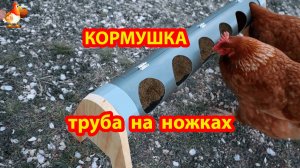 Кормушка курам из трубы на ножках и с дверкой для наполнения 🪚🪛🔨