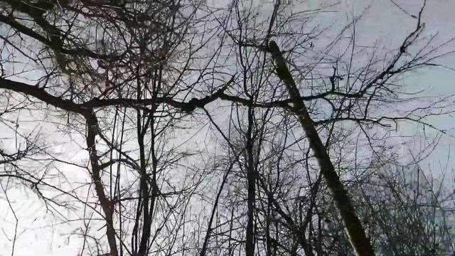 Деревня Саввичи смотреть онлайн