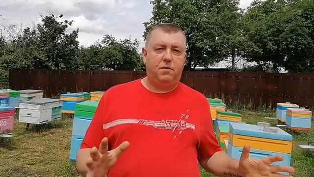 Горный облётник смотреть онлайн