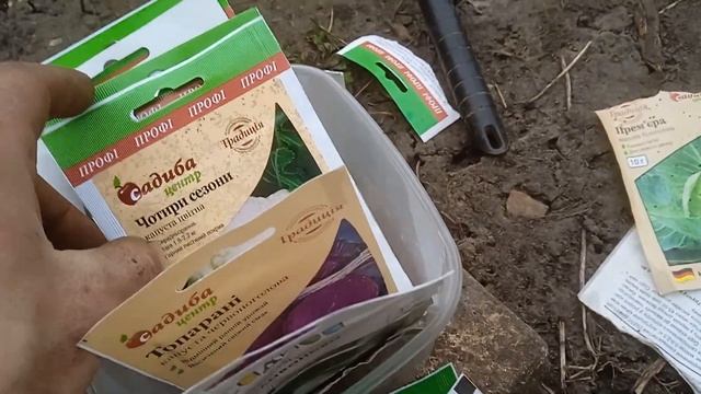 посев ранней капусты на продажу рассадой смотреть онлайн