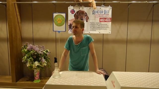 Ответы на вопросы зрителей смотреть онлайн