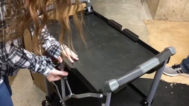 Best & Fastest Utility Cart BUT Not For Her смотреть онлайн