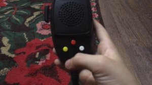 Обзор на СГУ НА 80W