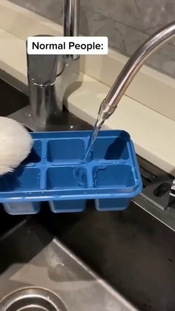 Fries With Ketchup- Normal Vs. Psycho 🤣🤣🤣 #thatlittlepuff #catsofyoutube #youtubeshorts