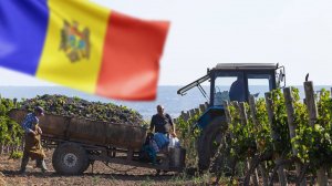 Молдавским фермерам массово отказывают в кредитах