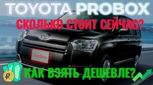 Toyota Probox стоимость на данный момент и можно ли взять дешевле?