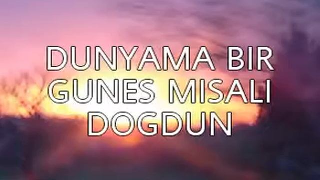 SEVIYORUM SENI ASKIM(ERCO MUZIK).MP4 смотреть онлайн