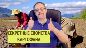 НАРОДНОЕ СРЕДСТВО ОТ ЯЗВЫ ЖЕЛУДКА, ГАСТРИТА И ГРИППА: КАРТОФЕЛЬНЫЙ СОК