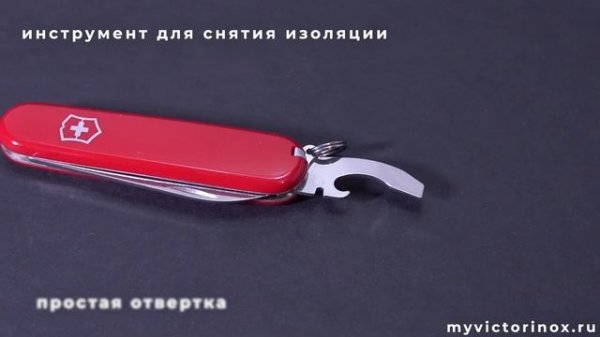 Нож Victorinox Waiter 0.3303 - обзор