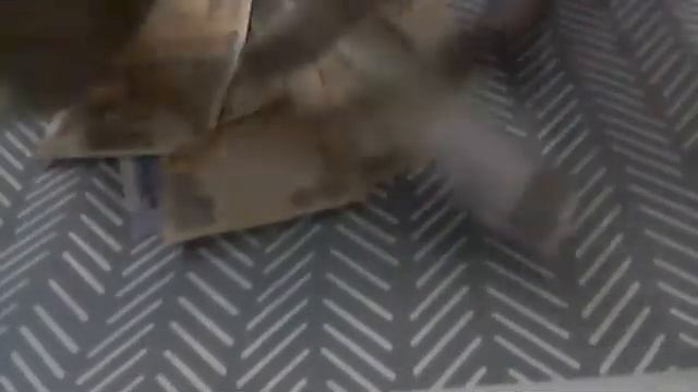 MY FIRST VIDEO ON THE BANKNOTES OF A FOREIGN LAND FOR ME NAMED INDIA смотреть онлайн