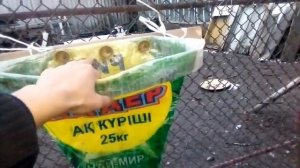 Конус из мешка для забоя птиц