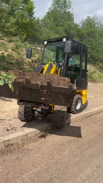 Сочленённо-маятниковый механизм погрузчика SHENG ER1000 смотреть онлайн