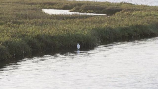 F-Log To BT.709 смотреть онлайн
