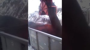 Погрузка угля в ж\д вагоны.