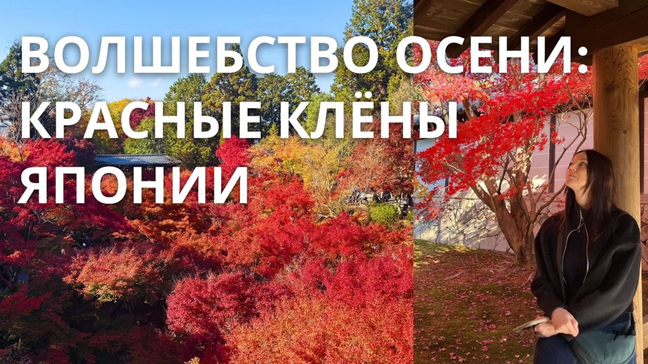 Магия Осенних Кленов в Японии - Самые ЯРКИЕ Места 2024!