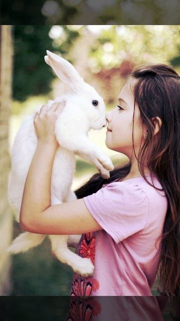 Text about rabbit Ronnie. смотреть онлайн