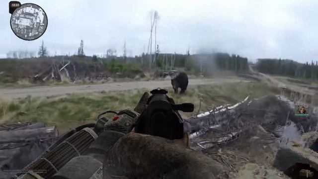 S.T.A.L.K.E.R. приколы 2 смотреть онлайн
