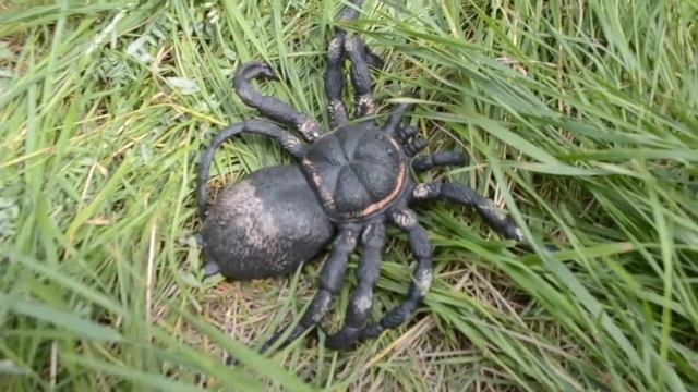 Девочка-Паук и пират на шашлыках. Влог на природе. Веселимся с детьми смотреть онлайн