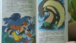 крошка енот