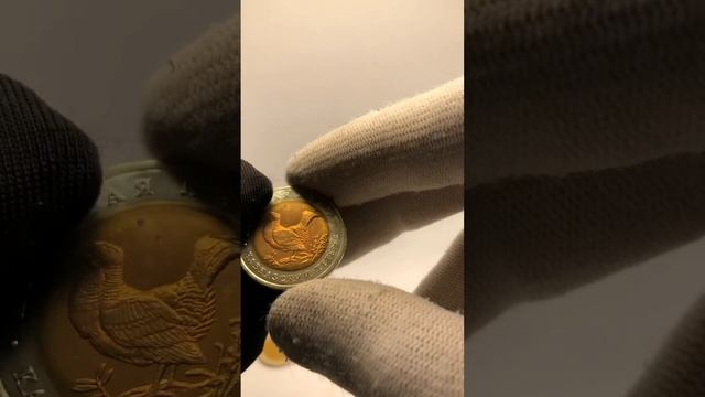 КРАСНАЯ КНИГА / СКОЛЬКО СТОЯТ МОНЕТЫ? / НАБОР МОНЕТ 1991 - 1994 ГОДА! смотреть онлайн