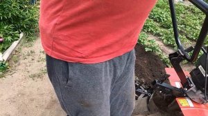 Мотокультиватор Тарпан Окучиваем картофель