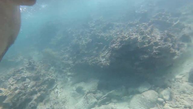 SNORKEL EN CUBA FEBRERO 2020 смотреть онлайн