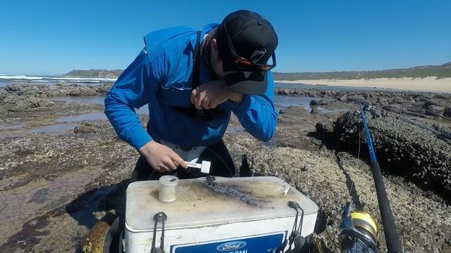 HOW to make a SQUID BAIT! MY FAVOURITE KOB BAIT! Bait Demo! Ink Sack is the Secret! ZLF смотреть онлайн
