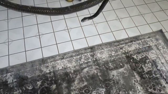 POV Chinese Cobra Handling смотреть онлайн