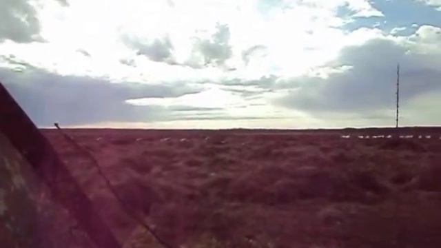 Охота на гуся профиля чучела далековато.. смотреть онлайн