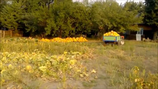 KAbaKi смотреть онлайн