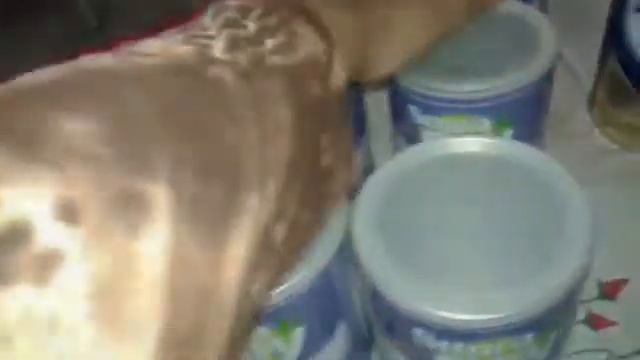 Acabados mês de Agosto! смотреть онлайн