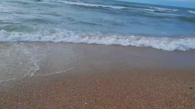 21 января 2025 года команда студентов ГБПОУ КК «Туапсинский гидрометеорологический техникум» приняли смотреть онлайн