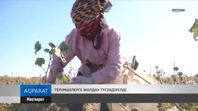 18.09.2019. Жетісай ауданы. ДЕНСАУЛЫҚ ФЕСТИВАЛІ - 2019 смотреть онлайн
