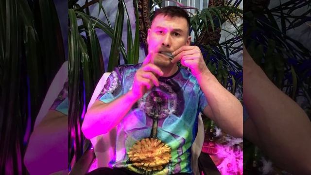 Варган в руках мастера смотреть онлайн