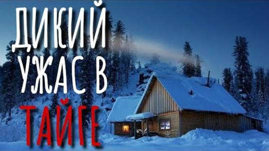 УЖАС В НОЧНОЙ ТАЙГЕ. Страшные истории про Деревню! Истории на ночь. Деревня. Деревенская Нечисть. смотреть онлайн