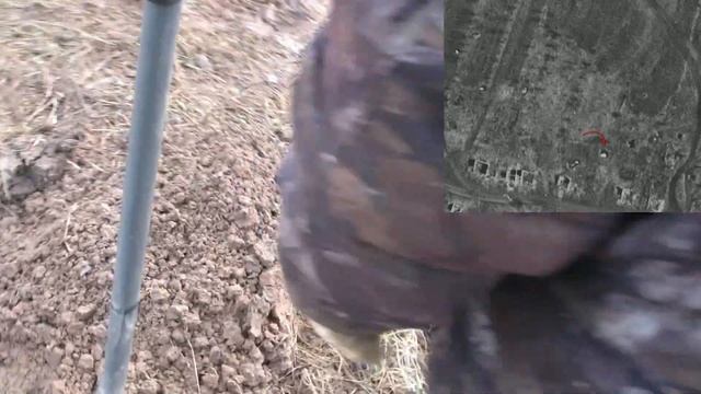 Поиск павших бойцов 1943 смотреть онлайн