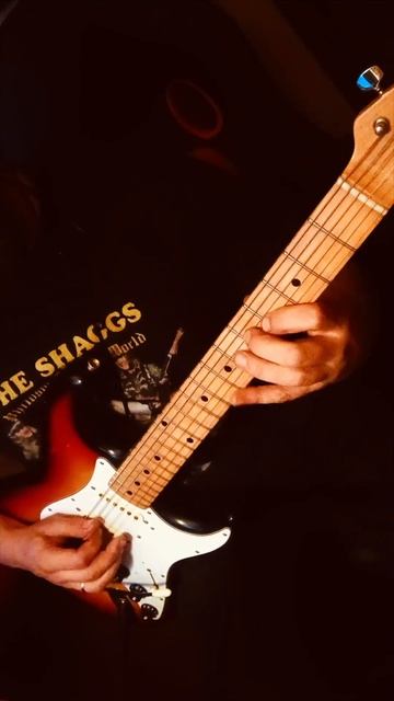 Isho Guitar.