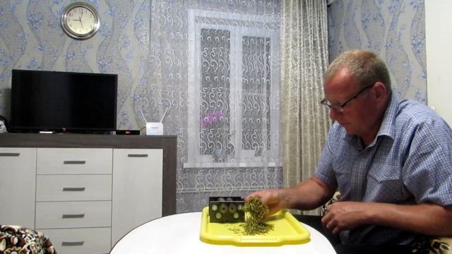 табакорезка нагайка смотреть онлайн