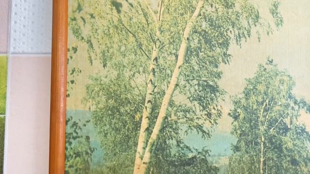 Картина на холсте " Карпатские берёзы " Офсетная печать . 31х41 см . 1967 г . смотреть онлайн