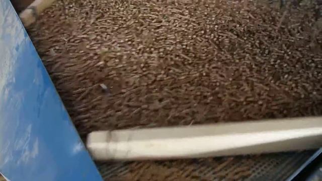 Производство пеллет 6 мм ООО "ТЕЛРАМ" www.telram.ru E-mail: info@telram.ru смотреть онлайн