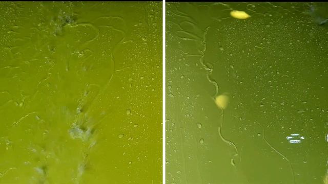 Uji Cleaner Wax Lokal : San-poly Soft Autowax v Nanotech Wax Polish Carnauba смотреть онлайн