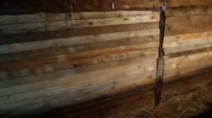 Устройство, размеры овчарни.