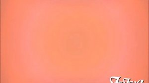 SMPTE Universal Film Leader (1970)/Fox Video (1995)