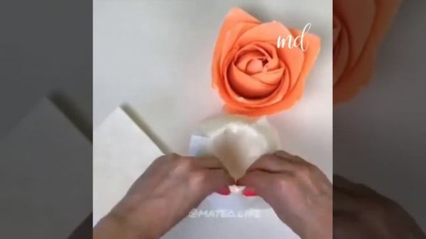 Memonla uchun dasturxon tuzash