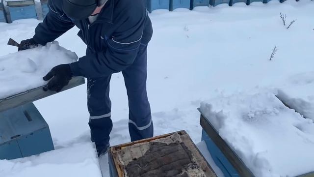 ЗИМОВКА НА УЛИЦЕ!!! смотреть онлайн