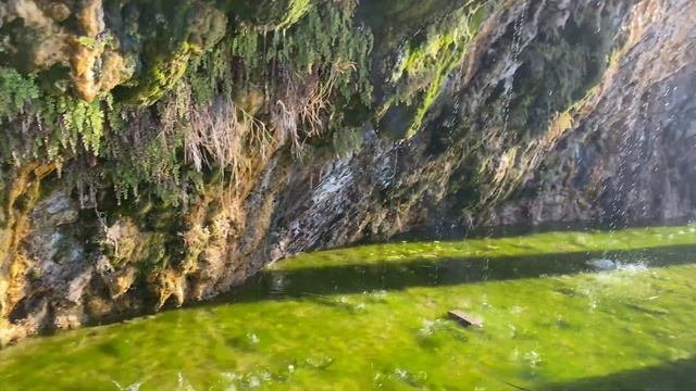 4 декабря. По улице Толстого к морю смотреть онлайн