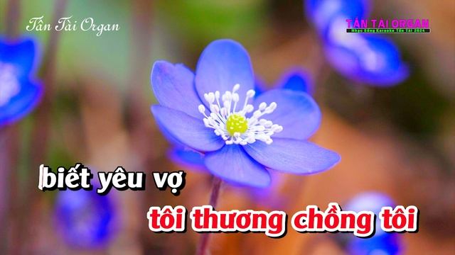Karaoke Liên Khúc Trữ Tình Làm Dâu Xứ Lạ Tone Nữ |Nhạc sống Chữ To Dễ Hát 2024|Tấn Tài смотреть онлайн