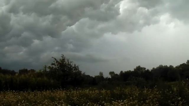 Перед грозою