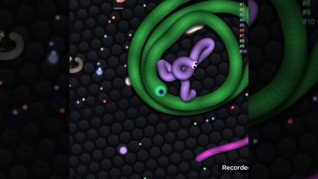 ОГРОМНЫЙ ЧЕРВЬ | SLITHER.IO | КРУТИМ КРУТИМ смотреть онлайн